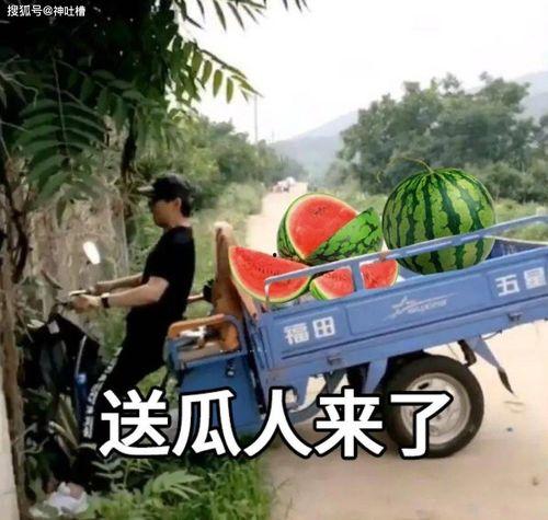 2021吃瓜群,揭秘娱乐圈幕后风云